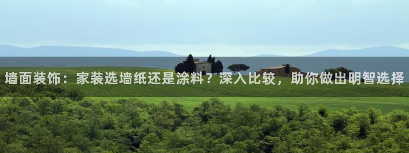 和记官网[中国]官方网站：墙面装饰：家装选墙纸还是涂料？深入比较，助你做出明智选择