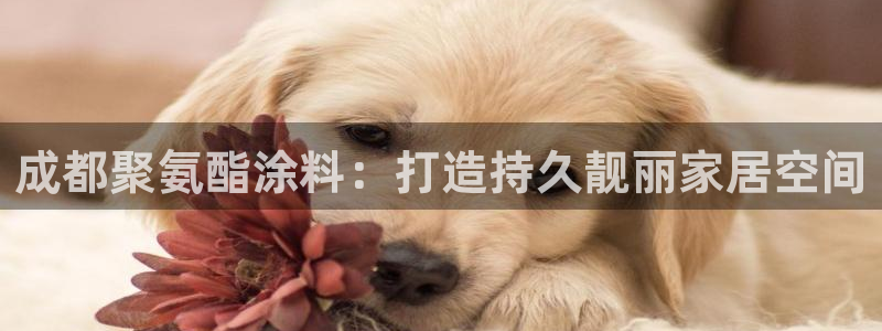 和记港口