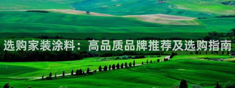 和记平台登录：选购家装涂料：高品质品牌推荐及选购指南