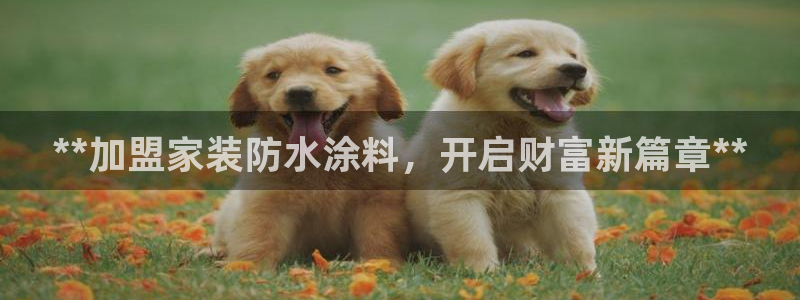 和记ag旗舰厅：**加盟家装防水涂料，开启财富新篇章**