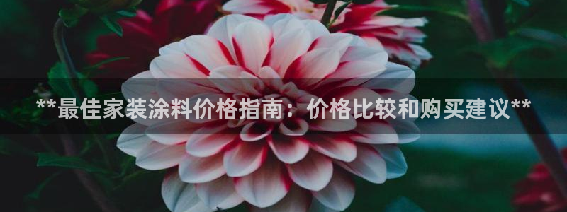 和记app官网