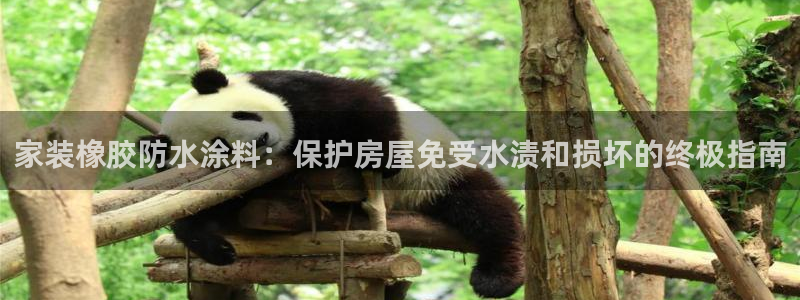 和记港口