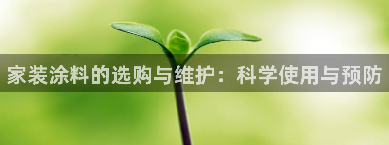 上海和记餐饮有限公司：家装涂料的选购与维护：科学使用与预防