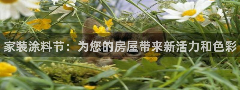 ag和记app：家装涂料节：为您的房屋带来新活力和色彩