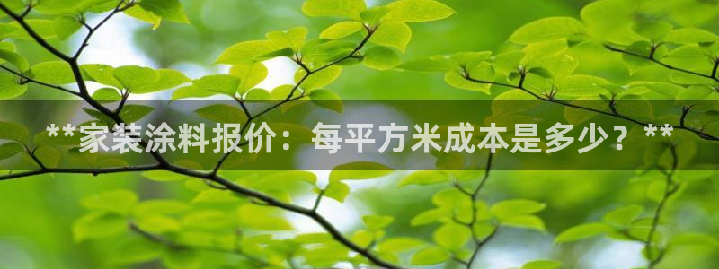 和记网页版：**家装涂料报价：每平方米成本是多少？**