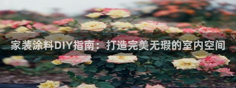 和记h188：家装涂料DIY指南：打造完美无瑕的室内空间