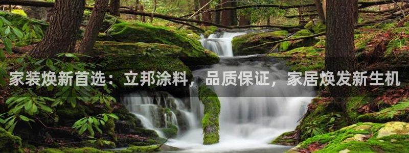 和记官方直营：家装焕新首选：立邦涂料，品质保证，家居焕发新生机