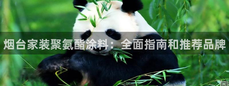 和记ag旗舰国际