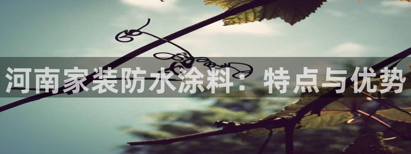 和记h88游戏：河南家装防水涂料：特点与优势