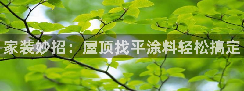 和记官方网址：家装妙招：屋顶找平涂料轻松搞定