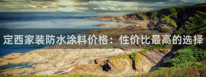 和记官方网站：定西家装防水涂料价格：性价比最高的选择