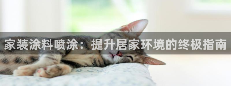 和记ag登录：家装涂料喷涂：提升居家环境的终极指南