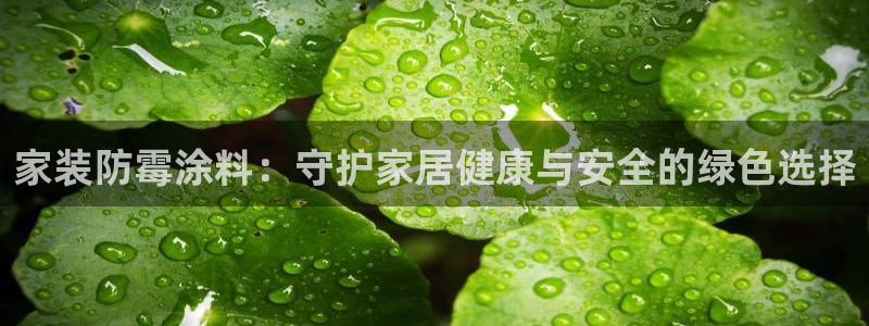 和记ag旗舰：家装防霉涂料：守护家居健康与安全的绿色选择