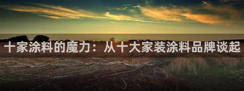 和记官方平台：十家涂料的魔力：从十大家装涂料品牌谈起