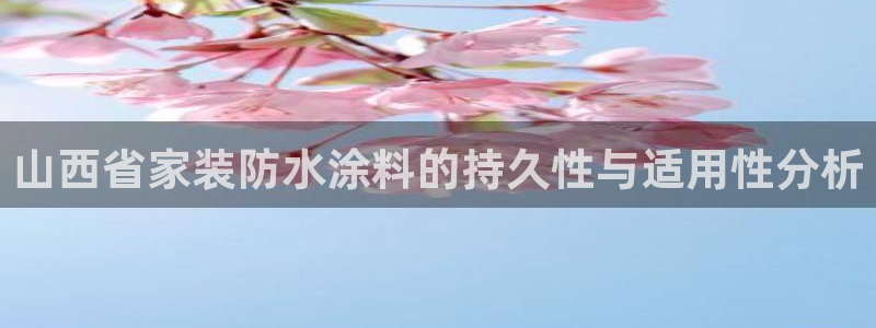 和记官方直营注册导航：山西省家装防水涂料的持久性与适用性分析