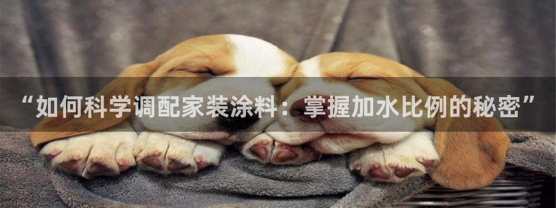 和记平台怎么样：“如何科学调配家装涂料：掌握加水比例的秘密”