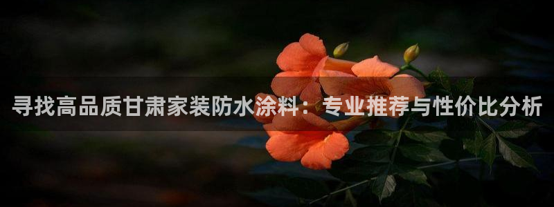 和记最新官方网址：寻找高品质甘肃家装防水涂料：专业推荐与性价