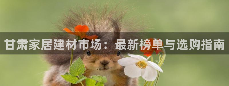 和记注册有什么送的：甘肃家居建材市场：最新榜单与选购指南