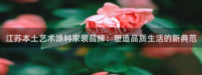 和记平台官方网：江苏本土艺术涂料家装品牌：塑造品质生活的新典范