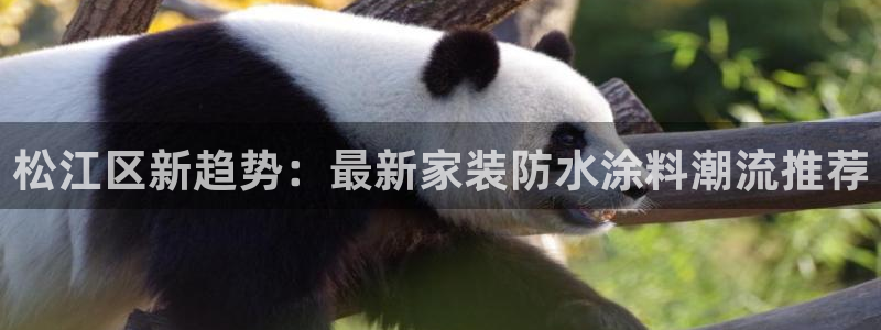 和记 中国首页：松江区新趋势：最新家装防水涂料潮流推荐