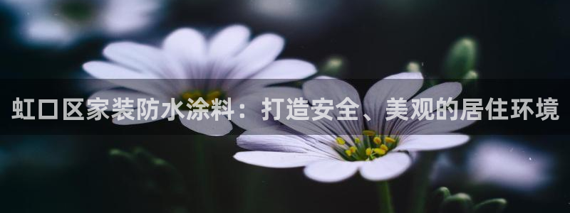 和记官方直营注册：虹口区家装防水涂料：打造安全、美观的居住环境