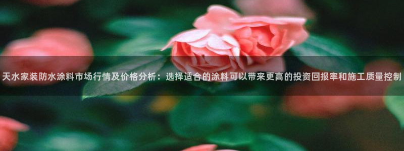 和记国际听：天水家装防水涂料市场行情及价格分析：选择适合的涂料可以带来更高的投资回报率和施工质量控制