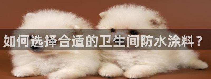 和记官网登陆：如何选择合适的卫生间防水涂料？