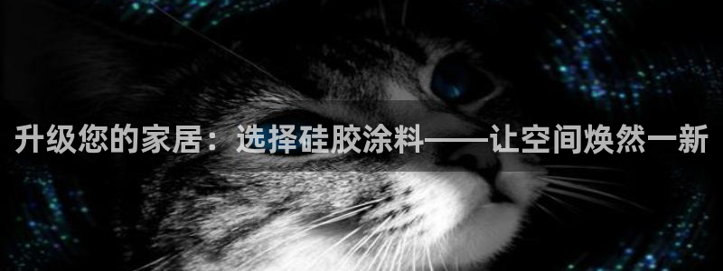 和记国际开户：升级您的家居：选择硅胶涂料——让空间焕然一新