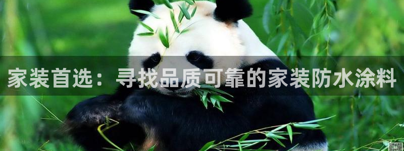 官方和记国际平台登录：家装首选：寻找品质可靠的家装防水涂料