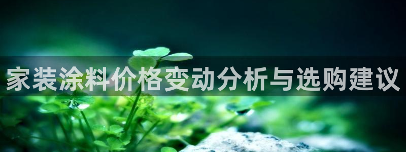 和记h8：家装涂料价格变动分析与选购建议