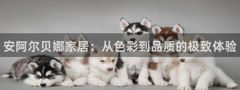 和记国际客服：安阿尔贝娜家居：从色彩到品质的极致体验