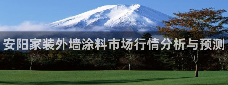和记电业集团：安阳家装外墙涂料市场行情分析与预测