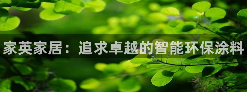 和记paging：家英家居：追求卓越的智能环保涂料