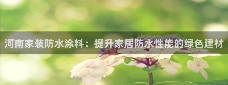 和记平台怎么样：河南家装防水涂料：提升家居防水性能的绿色建材