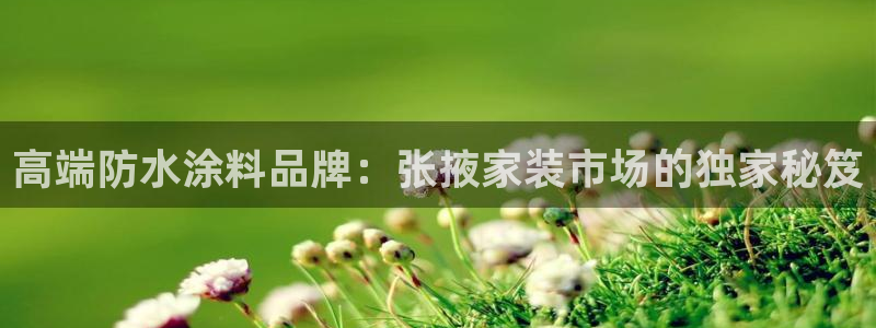 和记ag旗舰国际：高端防水涂料品牌：张掖家装市场的独家秘笈
