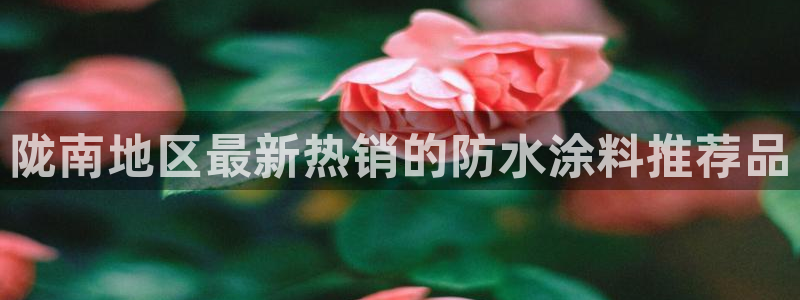 和记官方平台：陇南地区最新热销的防水涂料推荐品