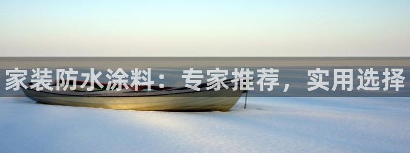 下载和记app：家装防水涂料：专家推荐，实用选择