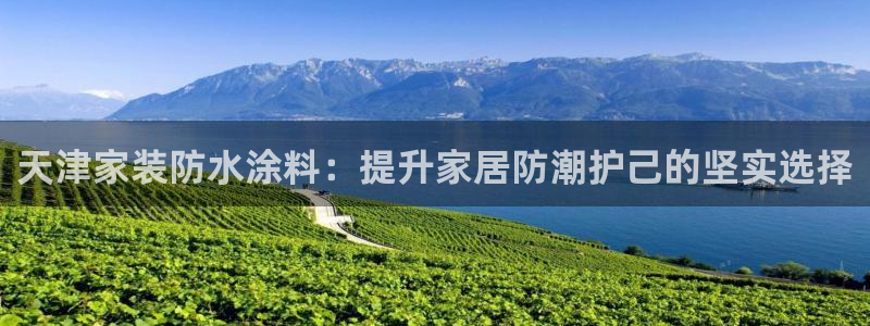 和记平台注册：天津家装防水涂料：提升家居防潮护己的坚实选择