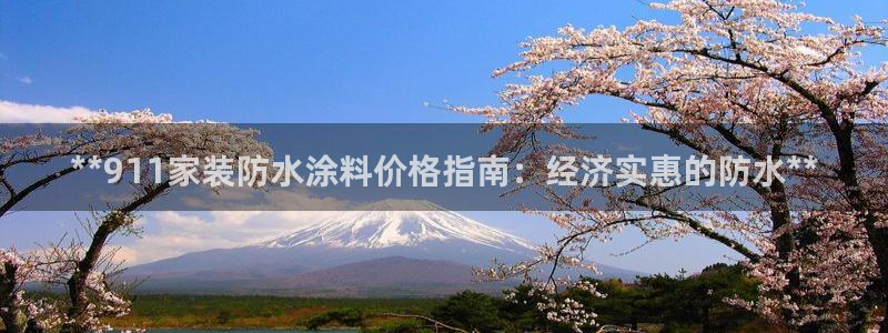 和记pc：**911家装防水涂料价格指南：经济实惠的防水**