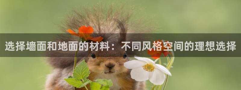 和记ag旗舰厅：选择墙面和地面的材料：不同风格空间的理想选择