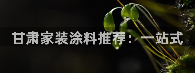 和记官方直营注册：甘肃家装涂料推荐：一站式