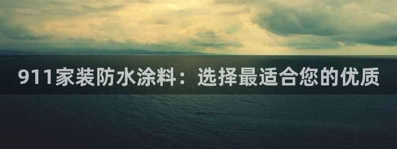 深圳和记科技有限公司：911家装防水涂料：选择最适合您的优质