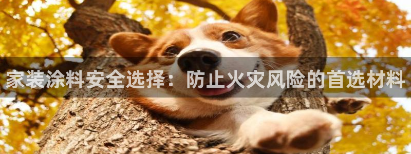 和记广告女主角：家装涂料安全选择：防止火灾风险的首选材料