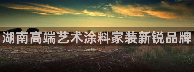 和记官网[中国]官方网站：湖南高端艺术涂料家装新锐品牌