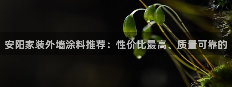 和记pc：安阳家装外墙涂料推荐：性价比最高、质量可靠的