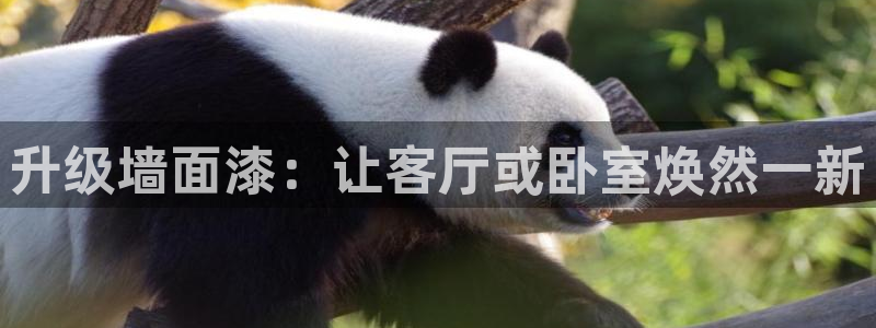 和记港口：升级墙面漆：让客厅或卧室焕然一新