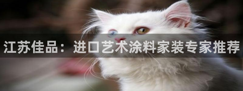 和记平台：江苏佳品：进口艺术涂料家装专家推荐