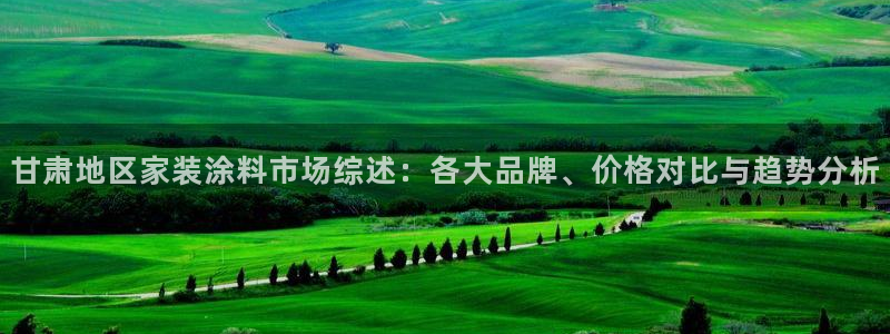 和记h88游戏：甘肃地区家装涂料市场综述：各大品牌、价格对比与趋势分析