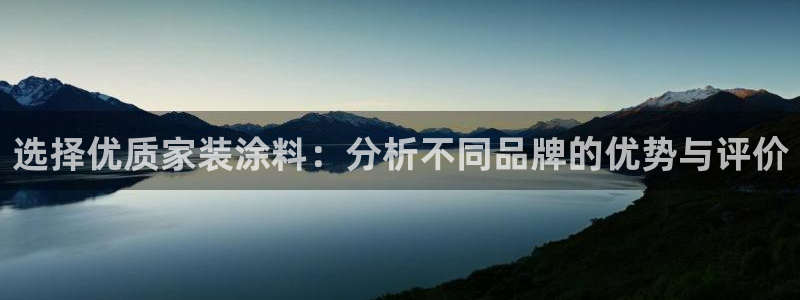 江苏和记餐饮有限公司：选择优质家装涂料：分析不同品牌的优势与评价