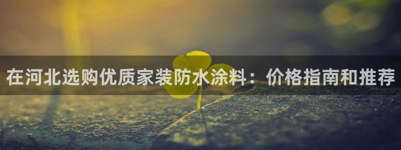 和记官网首页：在河北选购优质家装防水涂料：价格指南和推荐